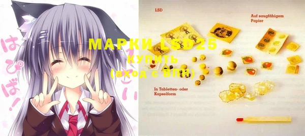 spice Сясьстрой