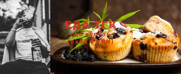 spice Сясьстрой